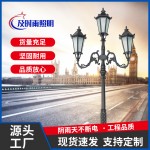 庭院景观灯 6米LED道路照明灯 小区别墅花园亮化照明